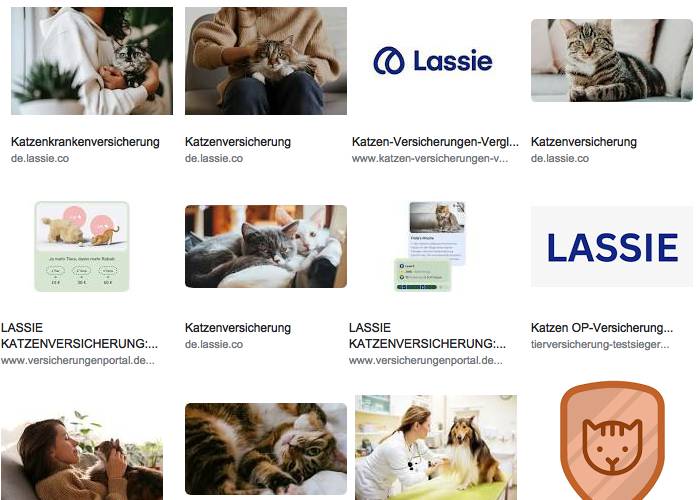 Lassie Katzenversicherung Erfahrungen & Bewertungen
